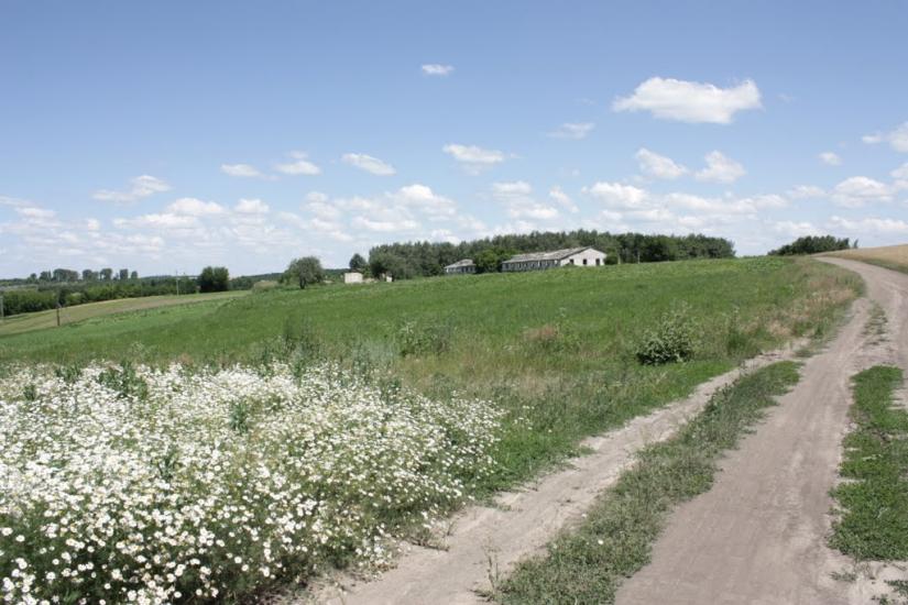 Чернявка з panoramio.com - Chernyavka
