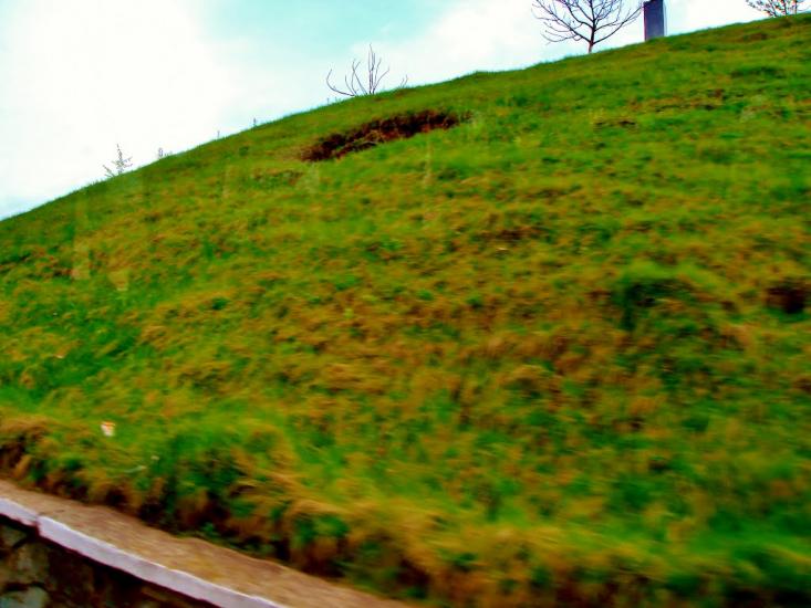 Тараща з panoramio.com - Тараща