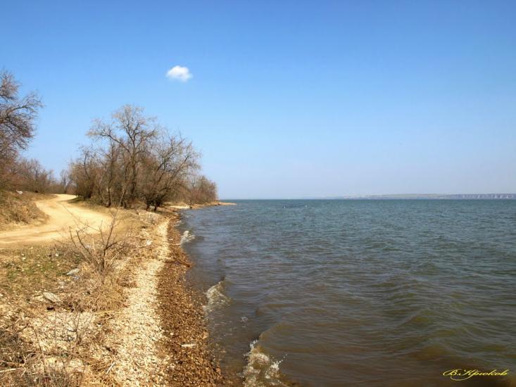 Шабо з panoramio.com - Shabo