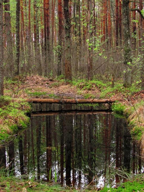 Гута-Ткачова з panoramio.com - Гута-Ткачова