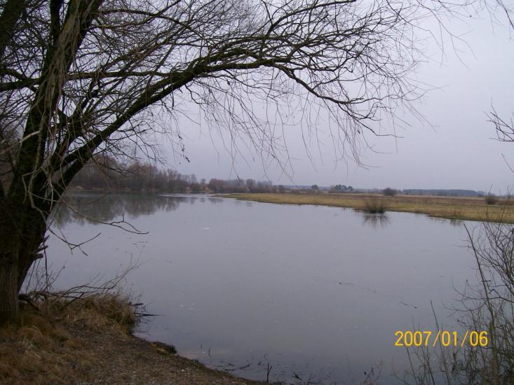 Вища Дубечня з panoramio.com - Высшая Дубечня