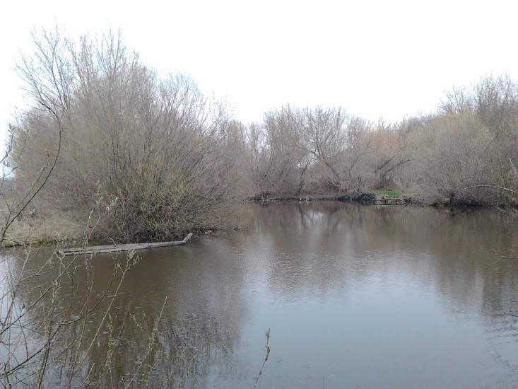 Рогачі з panoramio.com - Рогачи