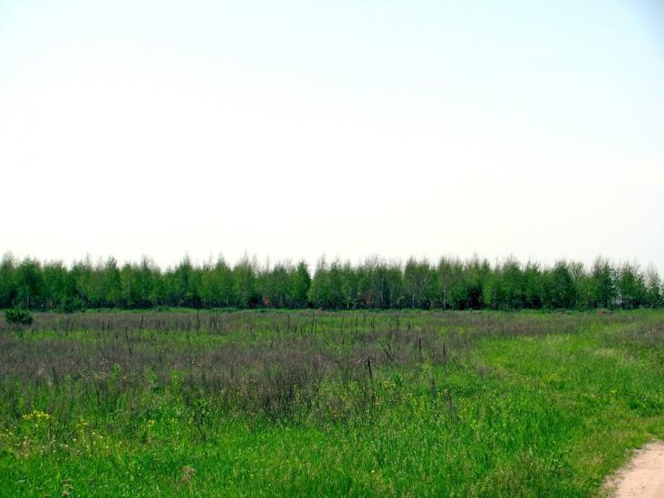 Старий Чорторийськ з panoramio.com - Старий Чорторийськ