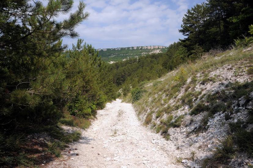 Кудрине з panoramio.com - Кудрине
