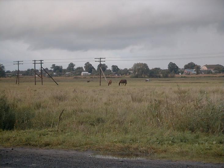 Домажир з panoramio.com - Домажир