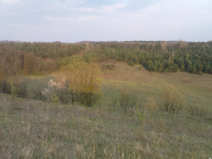 Лубенці з panoramio.com - Лубенці
