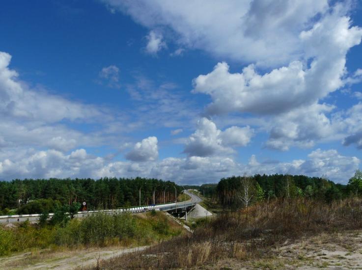 Скоморохи з panoramio.com - Скоморохи