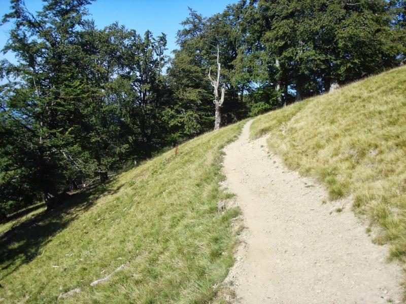 Красна з panoramio.com - Krasna