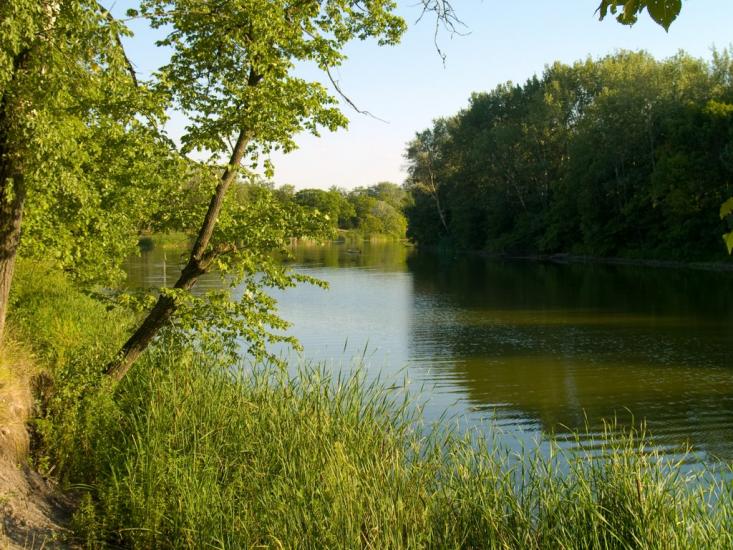 Нижнє з panoramio.com - Nyzhnye