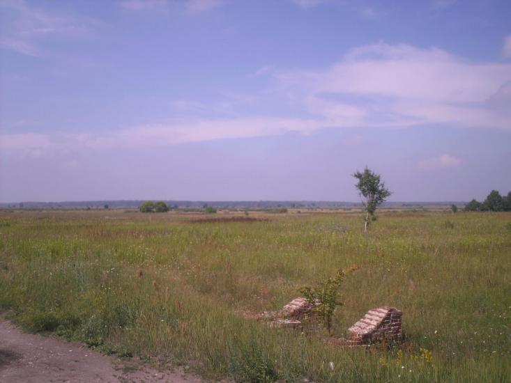 Глузди з panoramio.com - Глузди