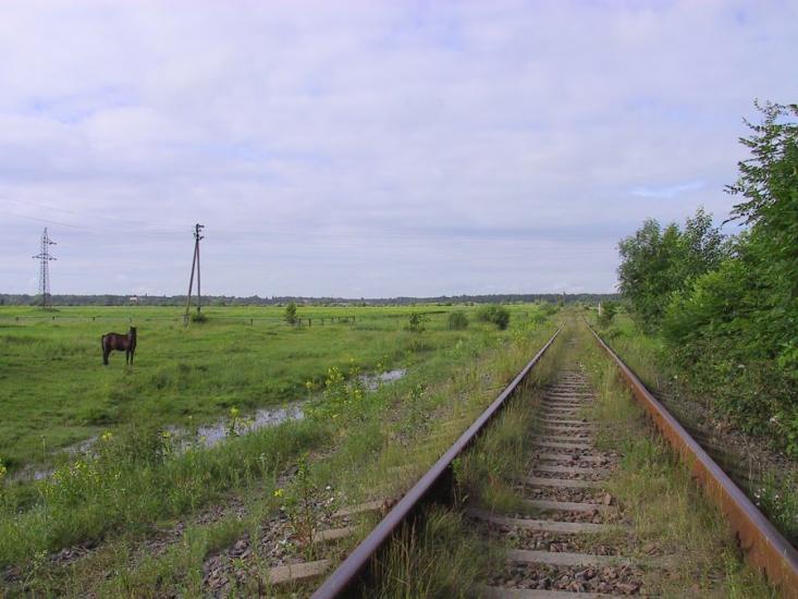 Великі Коровинці з panoramio.com - Великие Коровинцы