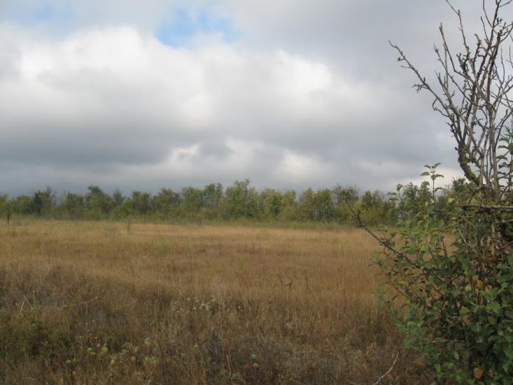 Будячки з panoramio.com - Будячки