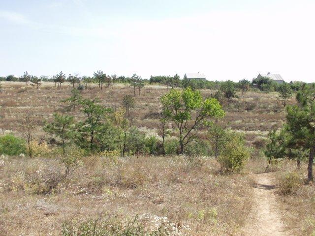 Тельмана з panoramio.com - Тельмана