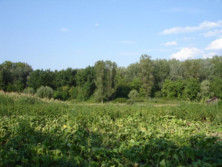 Хорішки з panoramio.com - Хорішки