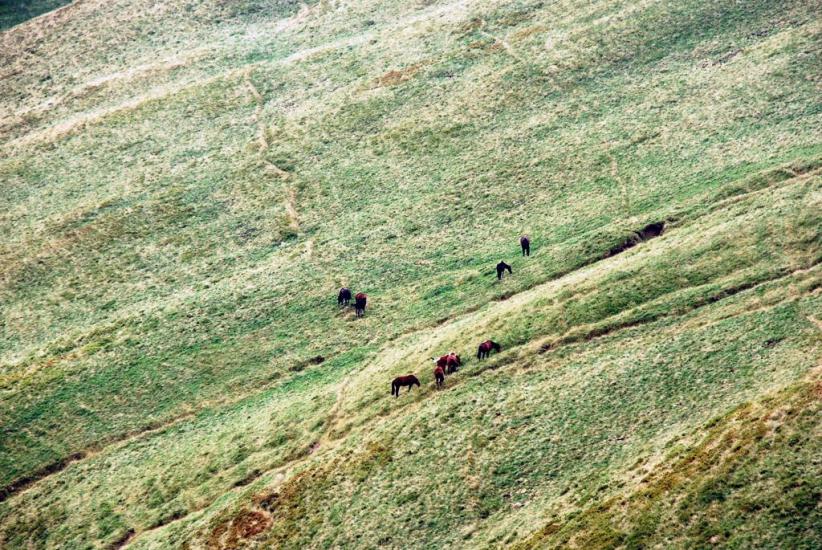 Руська Мокра з panoramio.com - Русская Мокрая