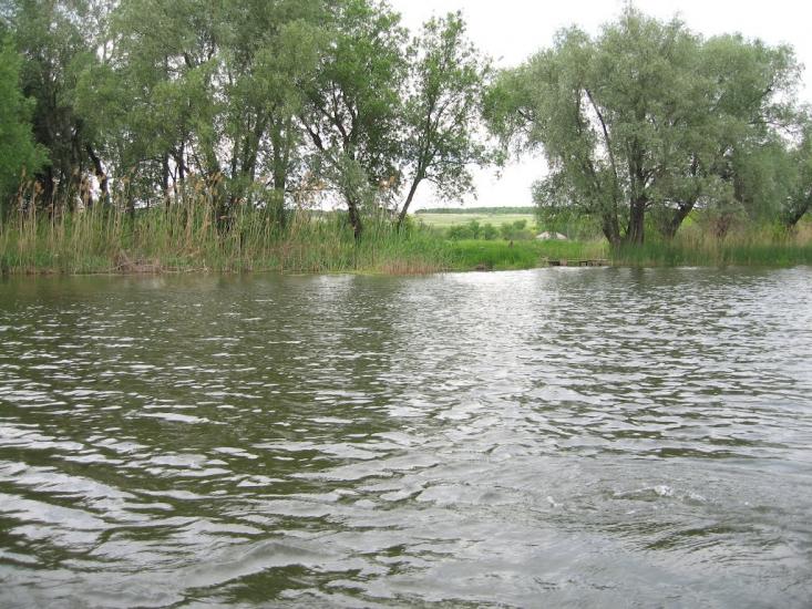 Хворостянівка з panoramio.com - Хворостянівка