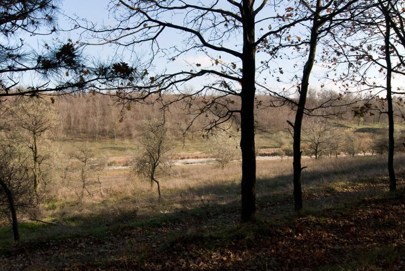 Дачне з panoramio.com - Дачное