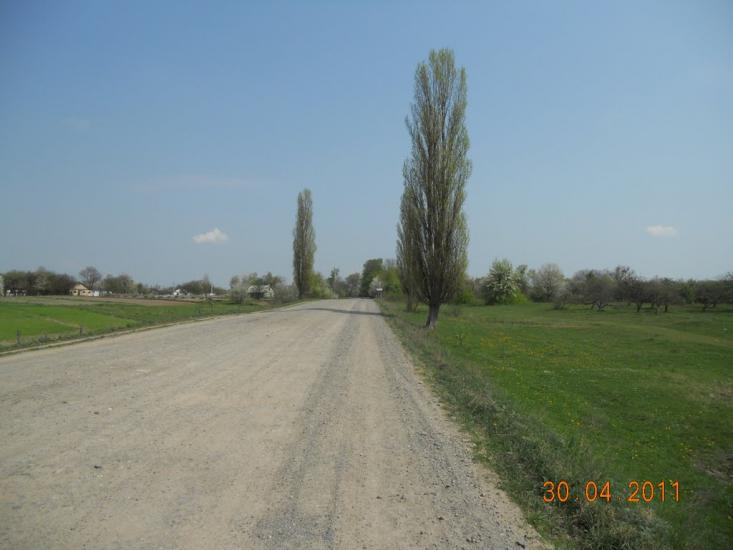 Головлі з panoramio.com - Головли