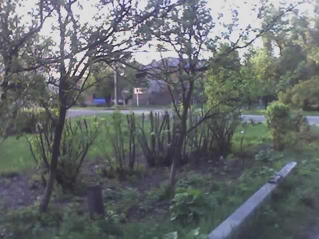 Сінне з panoramio.com - Sinne