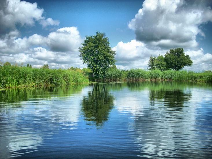 Ушиця з panoramio.com - Ushytsya