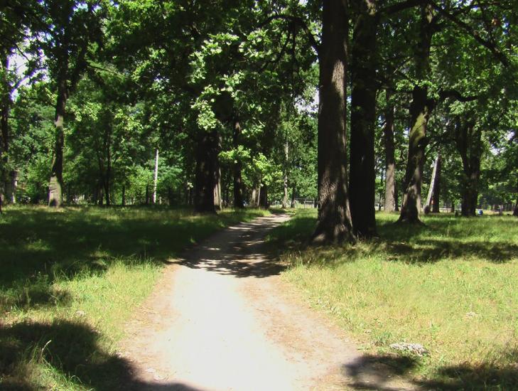 Озерне з panoramio.com - Озерне