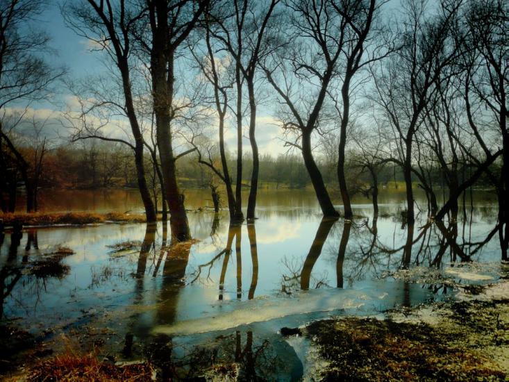 Слов'яносербськ з panoramio.com - Славяносербск