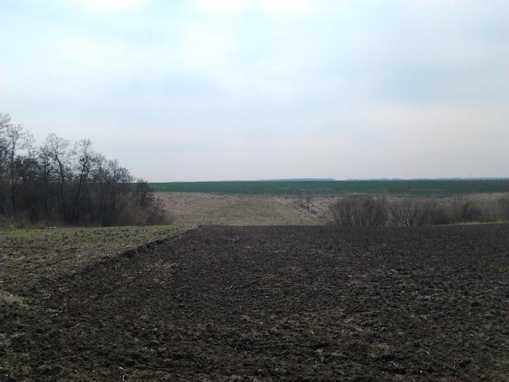 Рогачі з panoramio.com - Рогачи