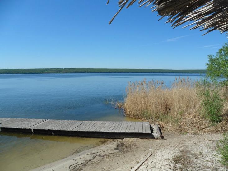 Мартове з panoramio.com - Мартово