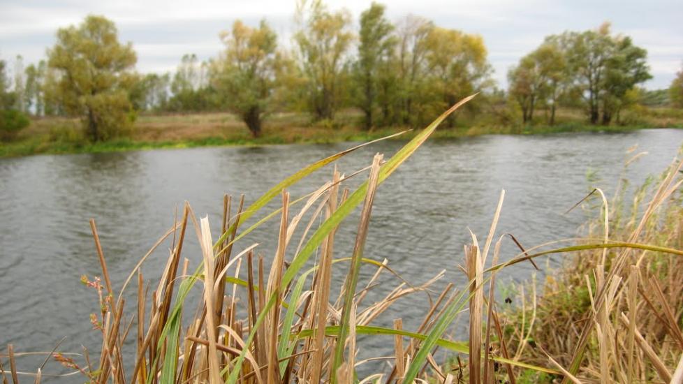 Зідьки з panoramio.com - Zidky
