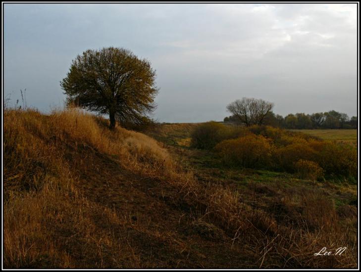 Литовеж з panoramio.com - Литовеж