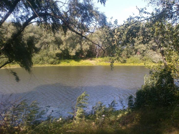 Вища Дубечня з panoramio.com - Высшая Дубечня
