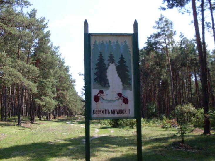 Нараївка з panoramio.com - Нараевка