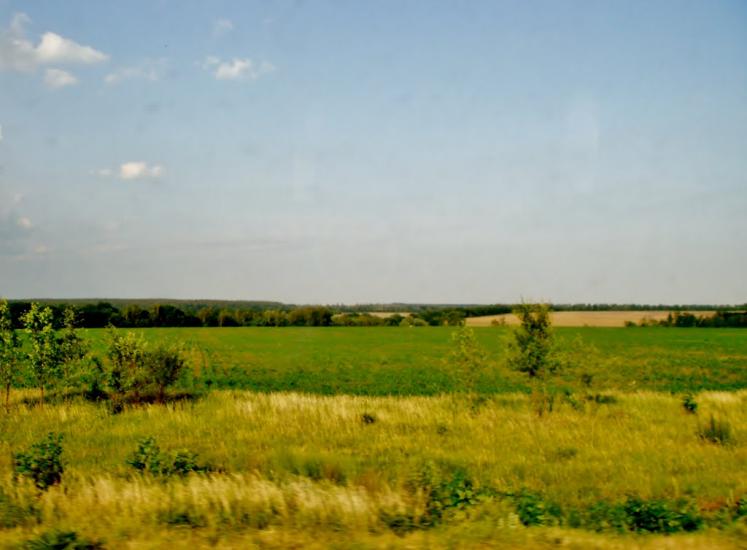 Неморож з panoramio.com - Неморож