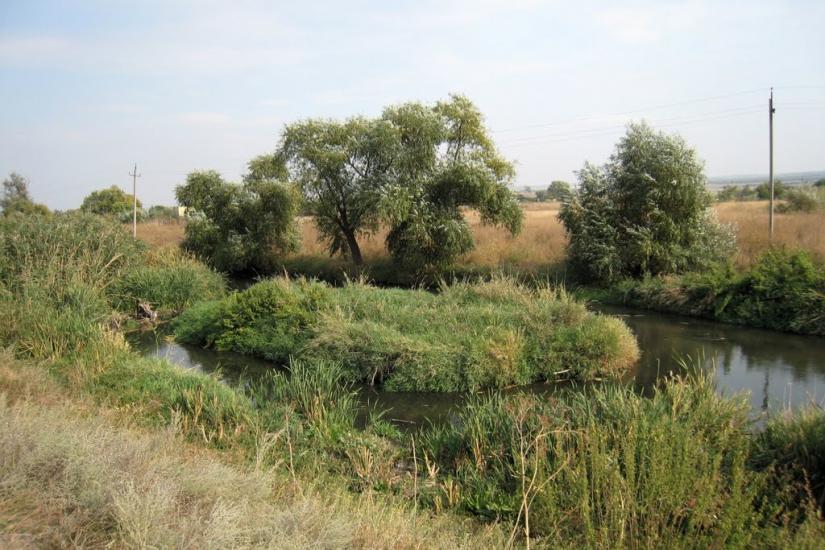 Весела Тарасівка з panoramio.com - Весела Тарасівка