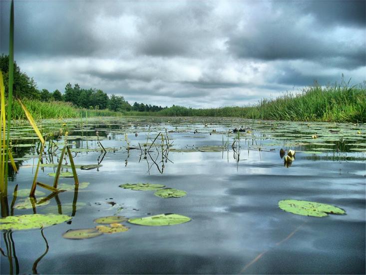 Нова Ушиця з panoramio.com - Новая Ушица