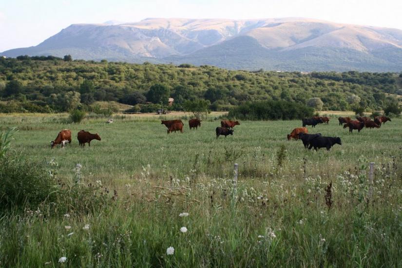 Перевальне з panoramio.com - Перевальное