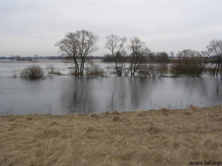 Литовеж з panoramio.com - Литовеж
