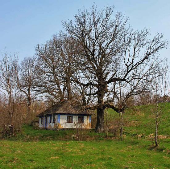 Личківці з panoramio.com - Лычковцы