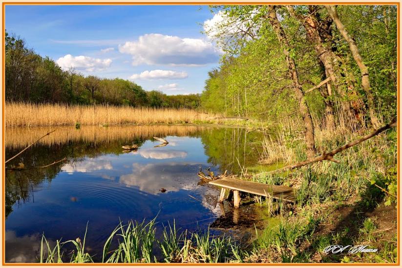 Дронівка з panoramio.com - Dronivka