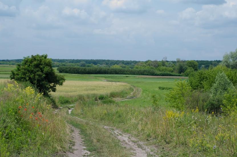 Пархоменкове з panoramio.com - Parkhomenkove