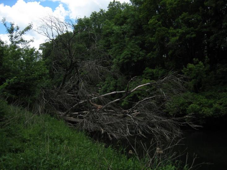 Безгинове з panoramio.com - Безгинове