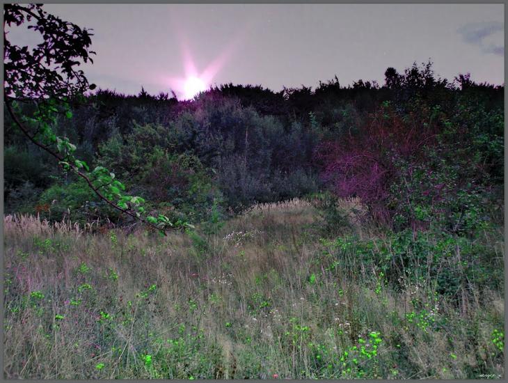 Кам'яниця з panoramio.com - Кам'яниця