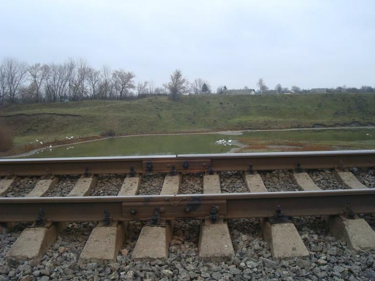 Григорівка з panoramio.com - Grygorivka