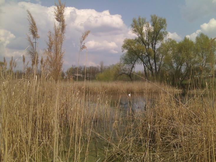 Степанівка з panoramio.com - Степановка