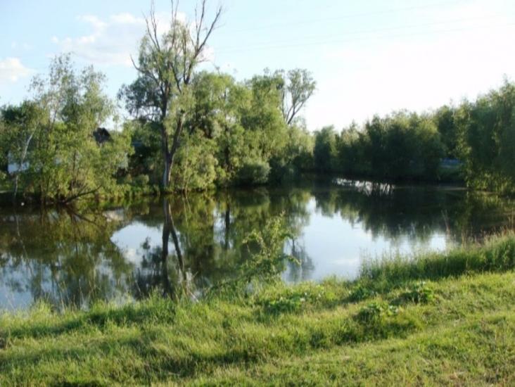 Вихвостів з panoramio.com - Вихвостів