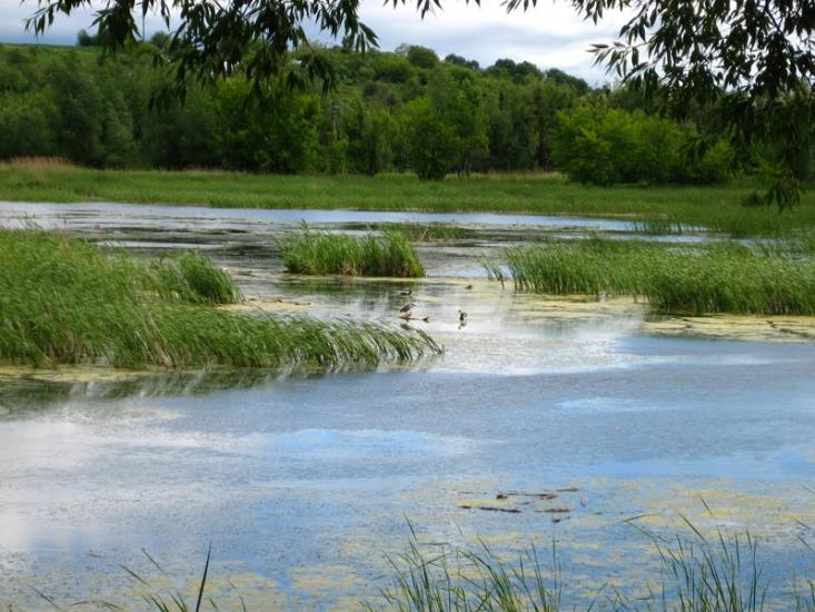 Іваньки з panoramio.com - Иваньки