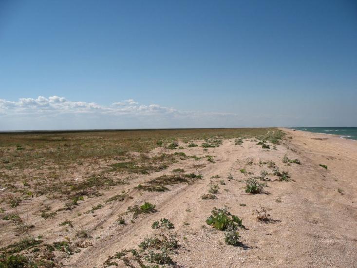 Соляне з panoramio.com - Соляное