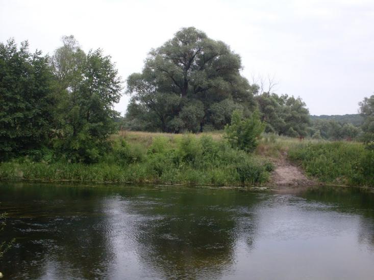 Могриця з panoramio.com - Mogrytsya