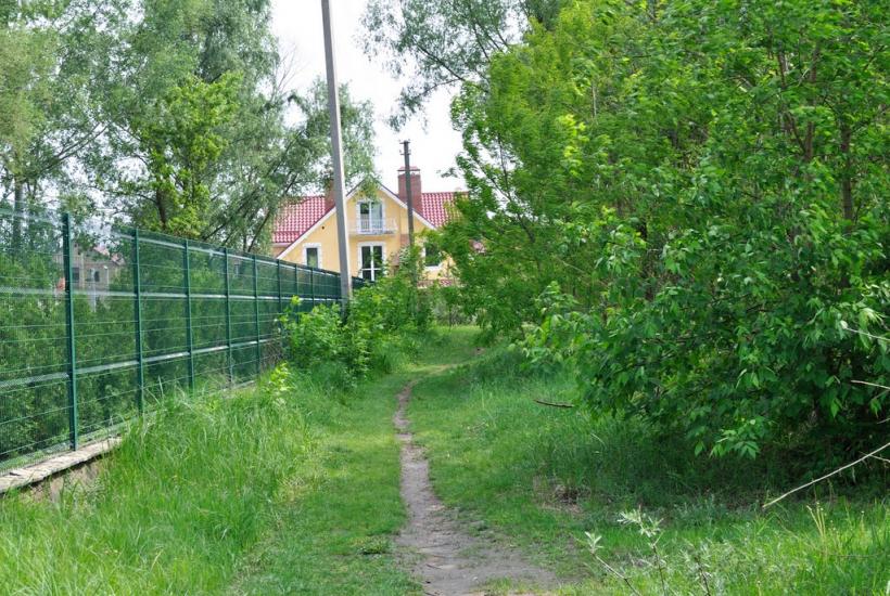 Капітанівка з panoramio.com - Капитановка