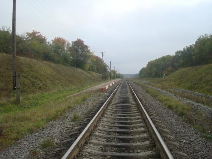 Верхівці з panoramio.com - Verkhivtsi